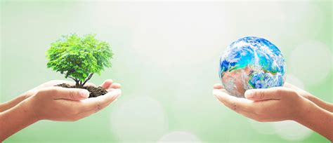 Eco标识 的图像结果