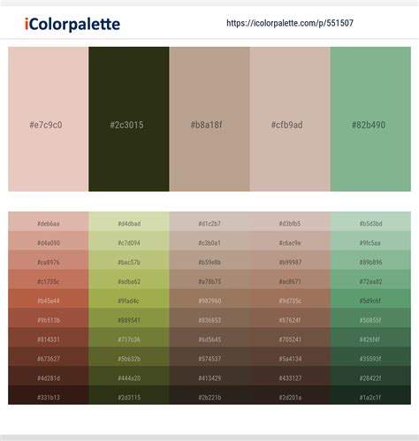 990+ Latest Color Schemes with Black Olive Color tone combinations ...