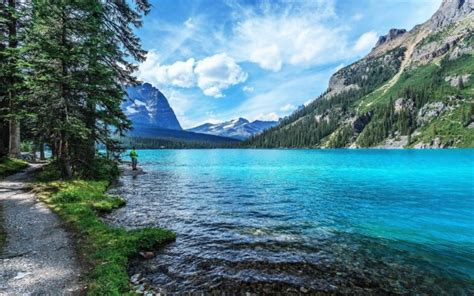 Image result for Printable Computer Screen