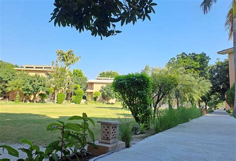 Corbett Aamod Resort - Celebrate New Year 2025 | Book Now @8130781111