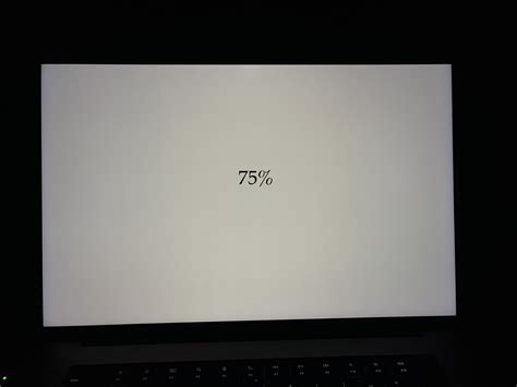 Screen Uniformity MacBook Pro 16″ (2021) – The Daejeon Chronicles