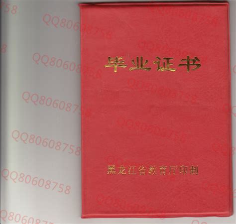 黑龙江高中毕业证查询系统入口 - 毕业证样本网