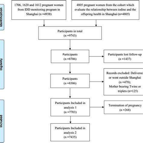 Image result for A Flowchart That Show the Process of Conception