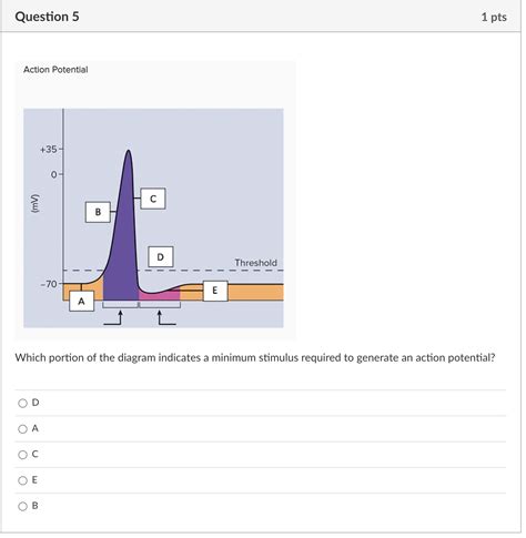 Saltatory Conduction Animation 的图像结果