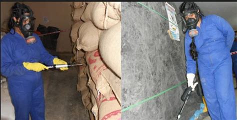 Image result for Fumigation Process