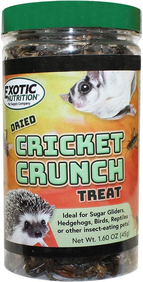 Cricket Crunch (3.2 oz.) - All Natural Healthy High Protein Insect ...
