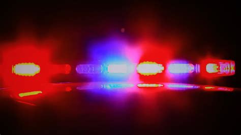 Vernon Parish Jail adds new inmates in drug-related arrests | WNTZ-TV ...