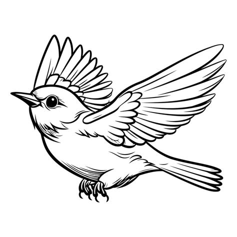 Flying bird isolated on white background in black and white colors ...