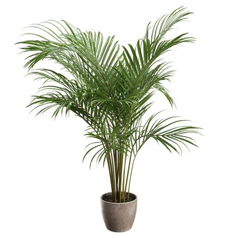 Image result for Small MacBook