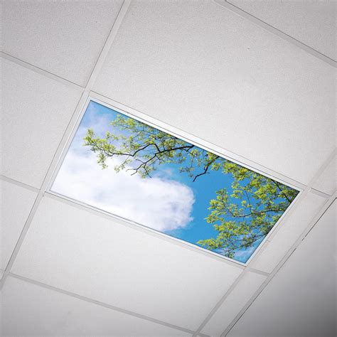 Fluorescent Light Cover for Classroom Ceiling Lights - Premium Backlit ...