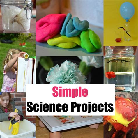 Fast Easy Science Projects 的图像结果
