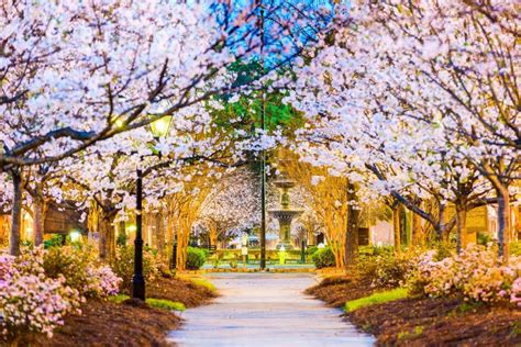 https://www.exploregeorgia.org/sites/default/files/styles/slideshow_large/public/listing_images/event/38899/6d29adffcf9ea2e24a3cd3fd78a8a8b8_macon_georgia.jpg?itok=UTlB-8iC