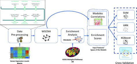 Deep Learning Workflow Data Acqusition Preprocessing 的图像结果