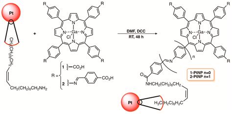Revisiting Current Photoactive Materials for Antimicrobial Photodynamic ...