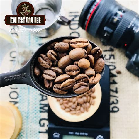 咖啡豆的三大种类的味道和形状区别在哪？如何分辨咖啡豆的种类？ 中国咖啡网 gafei.com
