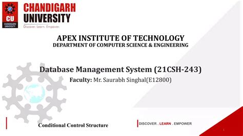 Image result for Conditional Control Structure
