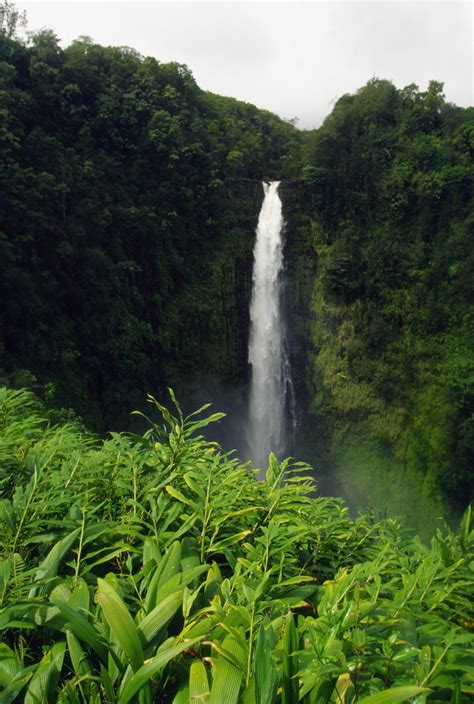 Natural Ecosystem Examples 的图像结果