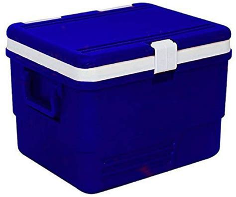 Buy Divik Plastic Insulated Icebox Ice Cooler Box Insulated Chiller Ice ...