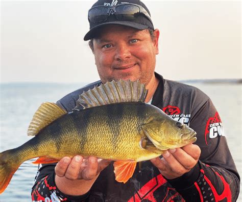 Image result for CWC Fishing