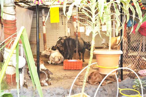 Welcome to Satidham Amravati|RaniSati Temple