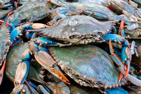 How To Cook Blue Crab - Simple & Easy To Do