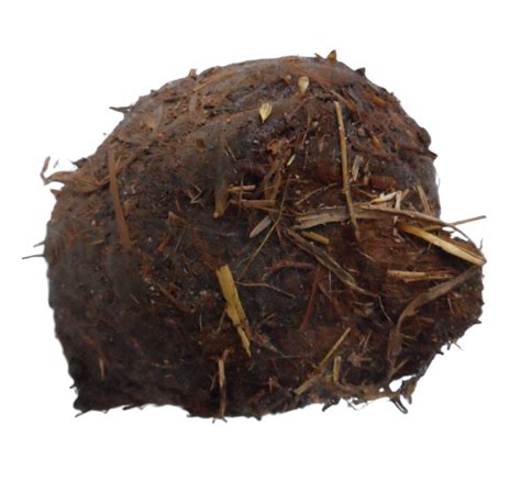 Schenken.net | Bloß nicht öffnen! | Rache