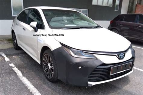New 2020 Toyota Corolla Hybrid Spied Testing; Might Not Come To India ...