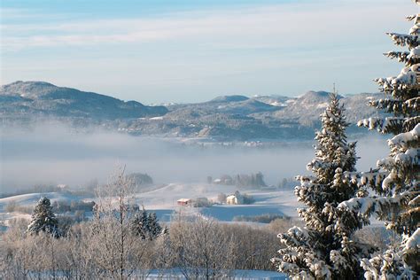 冬天的背景图片-蓝色雪地背景素材-高清图片-摄影照片-寻图免费打包下载