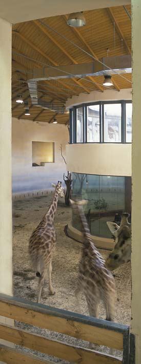 ZooLex Image - Indoor enclosure - 2