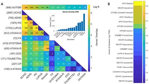 Precision Autism: Genomic Stratification of Disorders Making Up the ...
