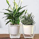 Buy Paradox Handmade Round Cement Grey/White Planter Vase - Cement ...