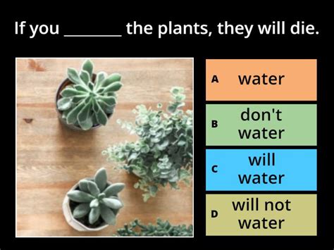 Image result for First Conditional Quiz