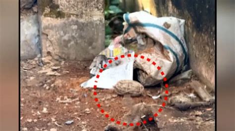 Four persons sustain critical injuries in bomb explosion in Odisha’s Puri