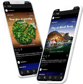 Success Story - 01 Forest