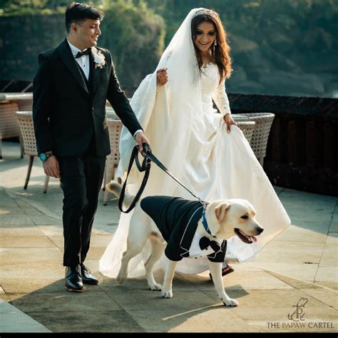 Buy The Papaw Cartel Dapper Styled Button Down Tuxedo for Dogs (Black ...