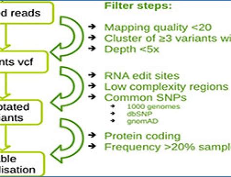 Single-cell RNA-seq 的图像结果