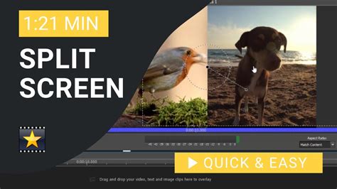 VideoPad Tutorial Overlaying Clips 的图像结果