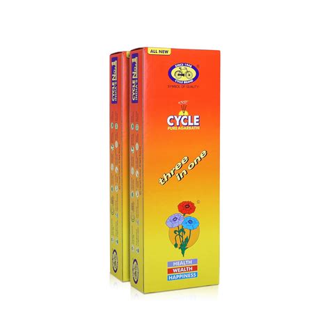 Cycle Pure Agarbatti Three in One Incense Sticks | Pack of 2 (250gm per ...