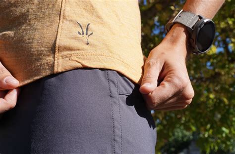 Image result for Springbok Running