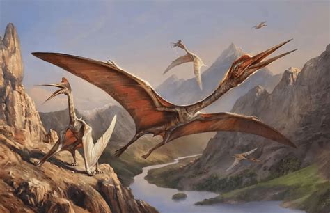 远古时期的“天空之王”, 风神翼龙到底有多厉害?_恐龙