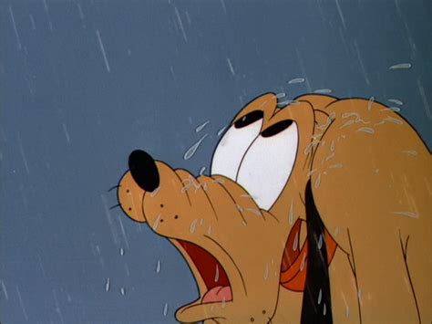 Image result for Springtime for Pluto