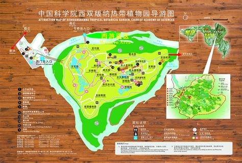 人民日报客户端：西双版纳热带植物园王莲进入最佳观赏期----中国科学院西双版纳热带植物园