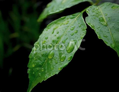 Image result for Support Notes for Testing