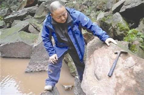 四川省泸州市古蔺县桂花乡发现目前亚洲最大恐爪龙类足迹化石 - 神秘的地球 科学|自然|地理|探索