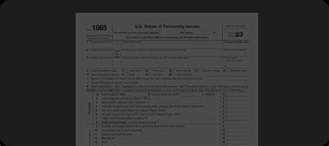 Form 1065 - Easily Fill Tax Forms Online & Download - PDF Guru
