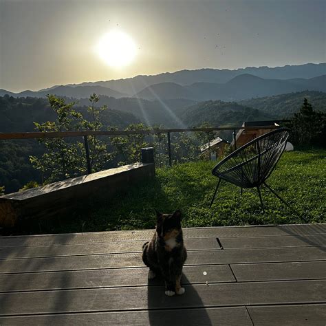 AMONT CHALET (Pestera) - Campground Reviews & Photos - Tripadvisor