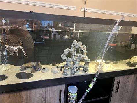 Python Aquarium System 的图像结果