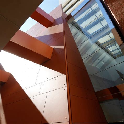 Cognitive Science PhD Programs 的图像结果