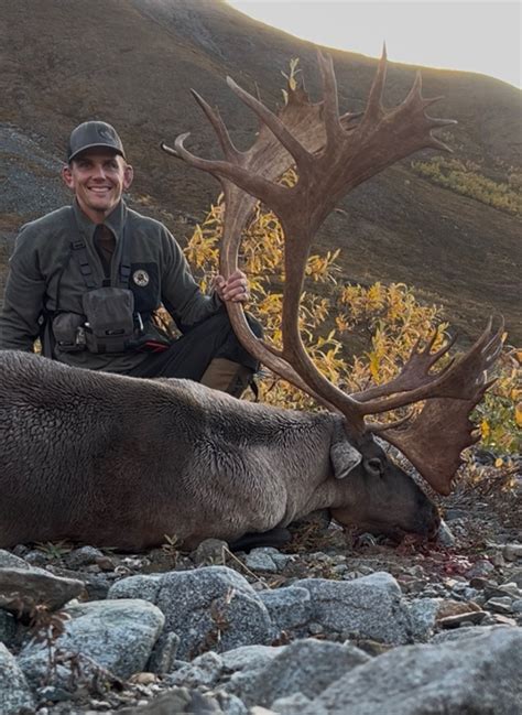 2026 Ak Governors SC827 Alaska Range Caribou Permits Hunt Raffle | SCI ...