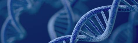 Biochemistry - Jind Lab